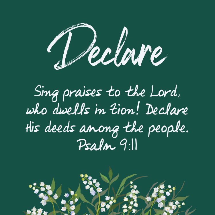 Declare image