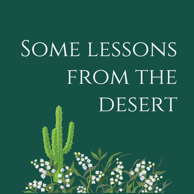 Surviving Drought image